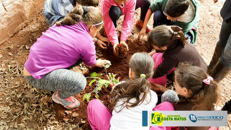 Semana do Meio Ambiente da Associação Broto de Gente, veja