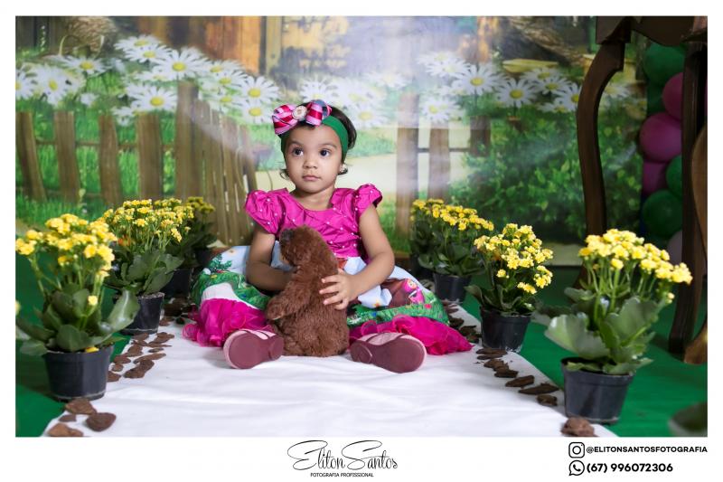 A Débora completou 2 aninhos em uma linda festa 