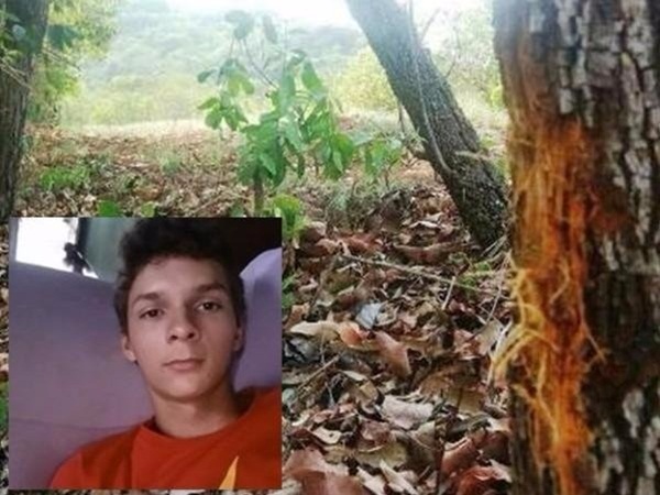 Jovem de 19 anos morre após colidir motocicleta em árvore na MS-215
