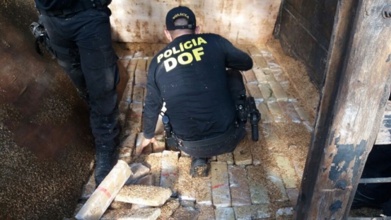 Polícia apreende mais de uma tonelada de maconha em caminhão boiadeiro