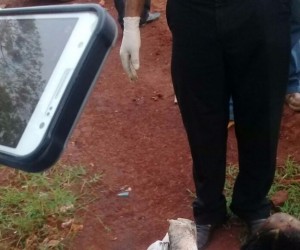 Homem é encontrado carbonizado com pernas e braços amarrados