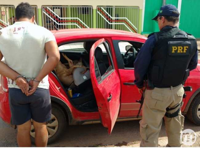 Preso por dirigir bêbado, motorista transportava porco morto em cadeirinha de bebê