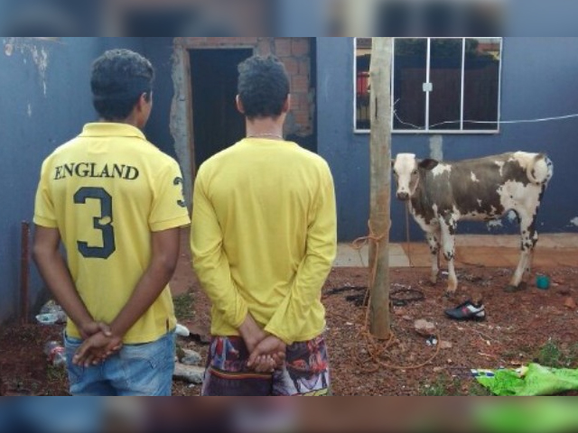 Garotos comemoram título do Corinthians furtando bezerra para fazer churrasco