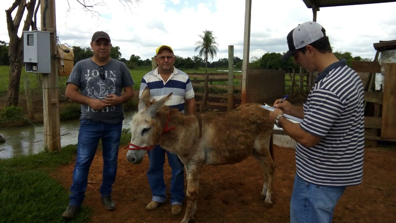 “Corrida do Jegue vai divertir as famílias na festa dos pioneiros!” destacou Pereira Neto