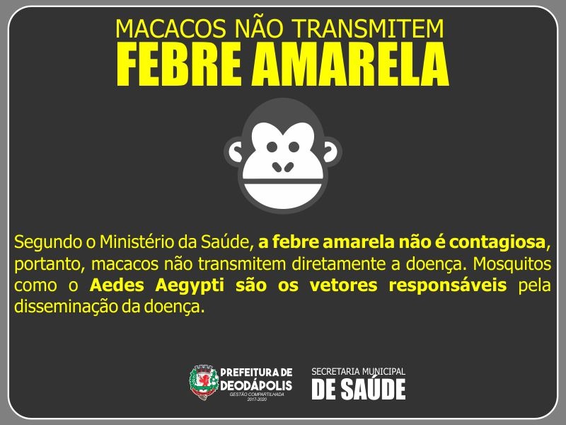 Secretaria Municipal de Saúde de Deodápolis esclarece que macacos não transmitem febre amarela
