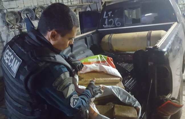 Advogado encontra 30 kg de maconha em caminhonete comprada em leilão