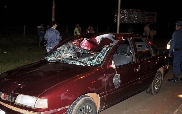 Motorista é surpreendido com cavalo que atravessa pista e colide com carro