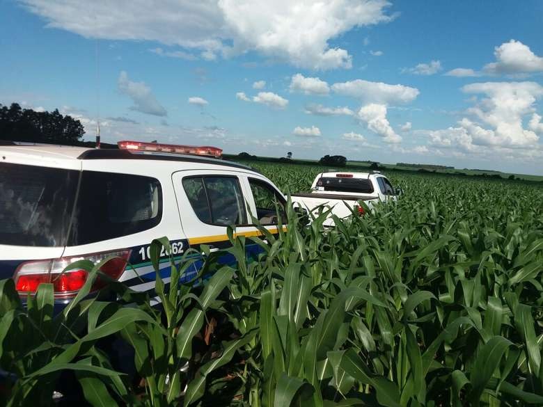 Polícia Militar apreende 1,2 tonelada de maconha em Caarapó