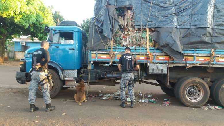 Farejador encontra maconha escondida em carga de recicláveis em Dourados