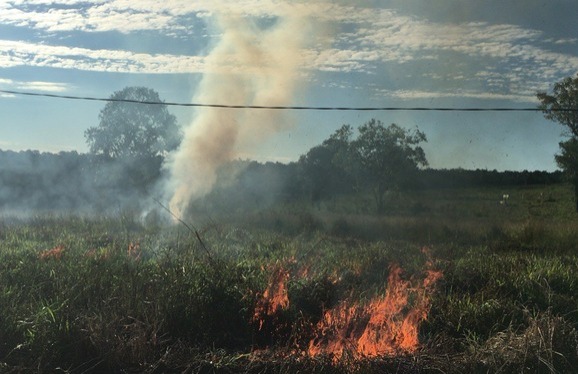 PMA autua dois por incêndio em lotes no assentamento de Terenos