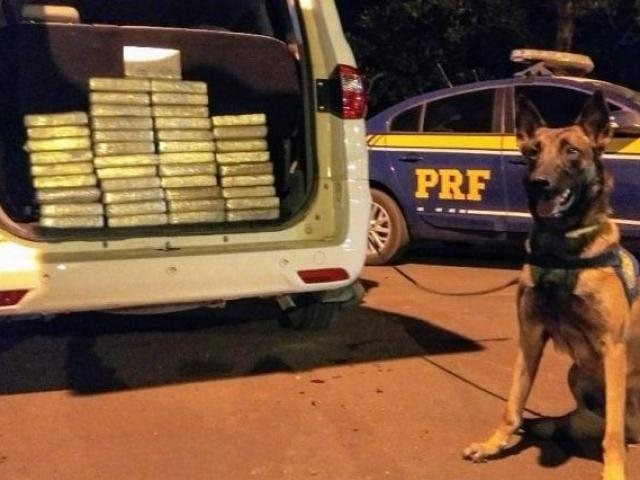Bolivianos são flagrados com mais de 40 kg de cocaína durante operação