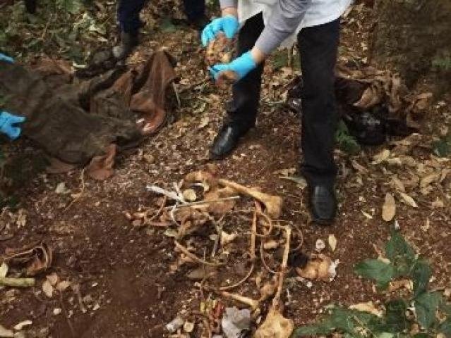 Ossada de homem desaparecido após feminicídio é encontrada
