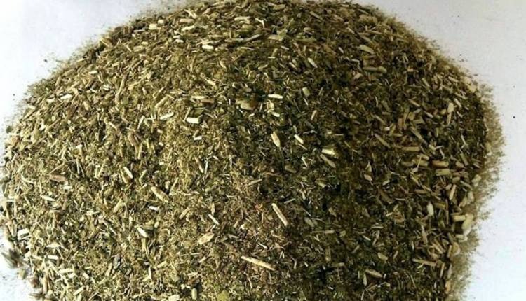 Jovem tenta enganar polícia e diz que supermaconha na mala seria erva de tereré