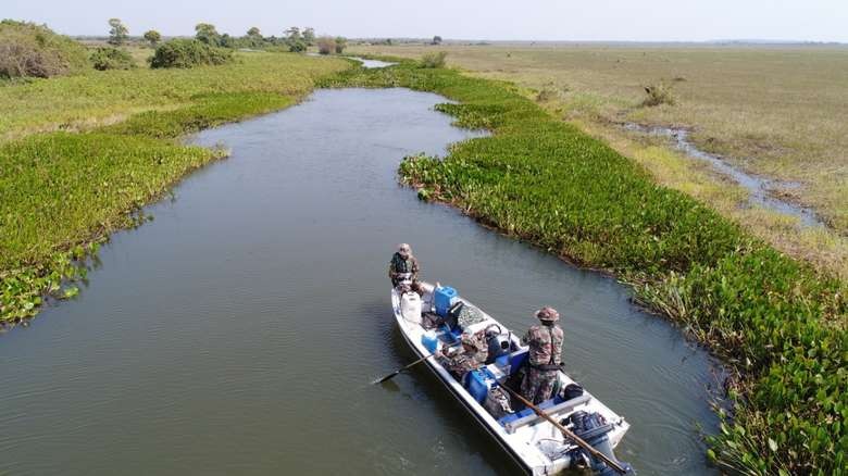 PMA vai fiscalizar desmatamento e prende homem por pesca predatória
