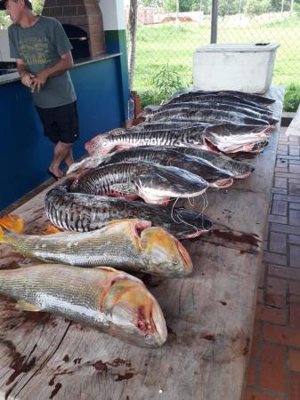 Catarinenses são presos pescado ilegal e multados em R$ 7 mil