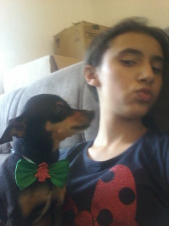 Família oferece recompensa por cachorrinha que desapareceu em Deodápolis 