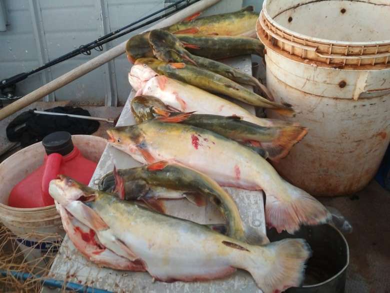 PMA prende pescador e apreende pescado, barco, motor e petrecho de pesca