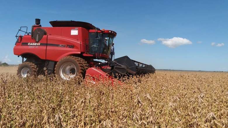 MS fecha safra com produção de 8,8 milhões de toneladas de soja
