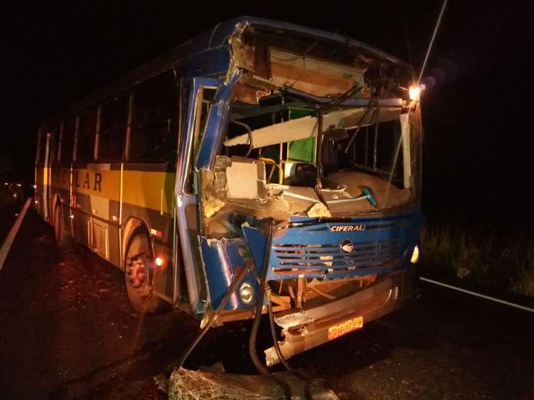 Motorista freia ao ver anta e tem caminhão atingido por ônibus
