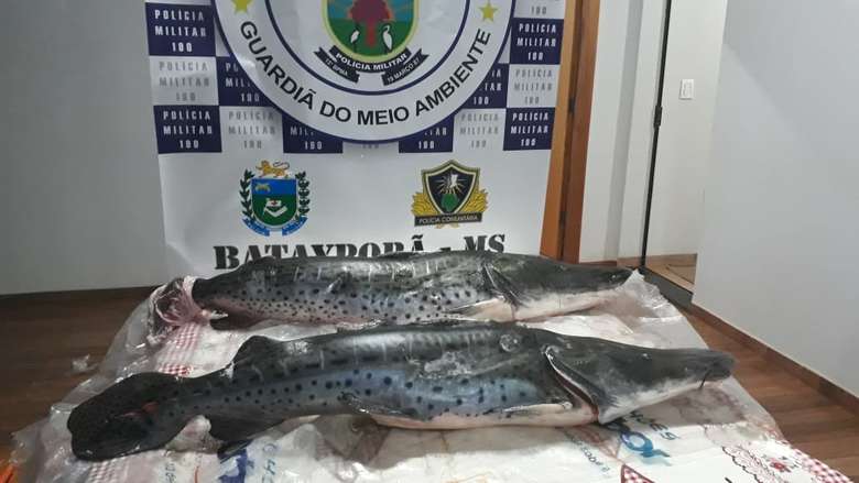 Homem é autuado por transporte de pescado ilegal