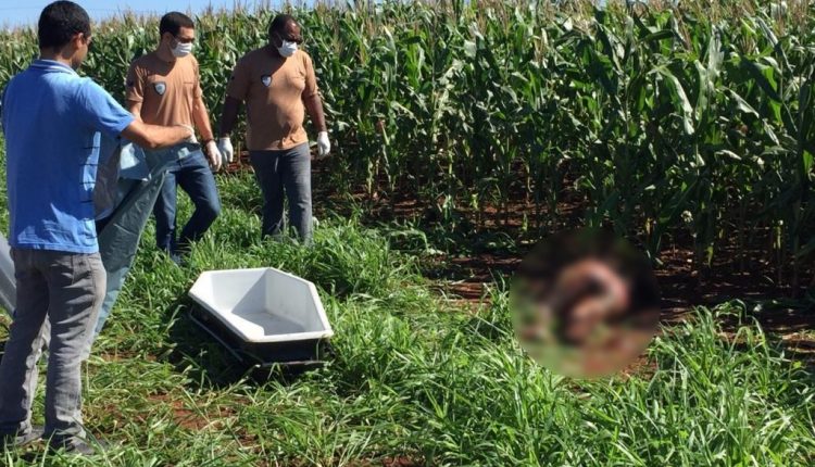 Corpo de grávida morta com tiros na cabeça pode ter sido ‘desovado’ em milharal