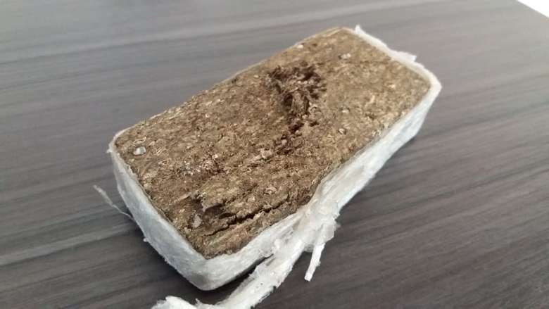 Jovem é preso acusado de tráfico de drogas no Canaã II Plano