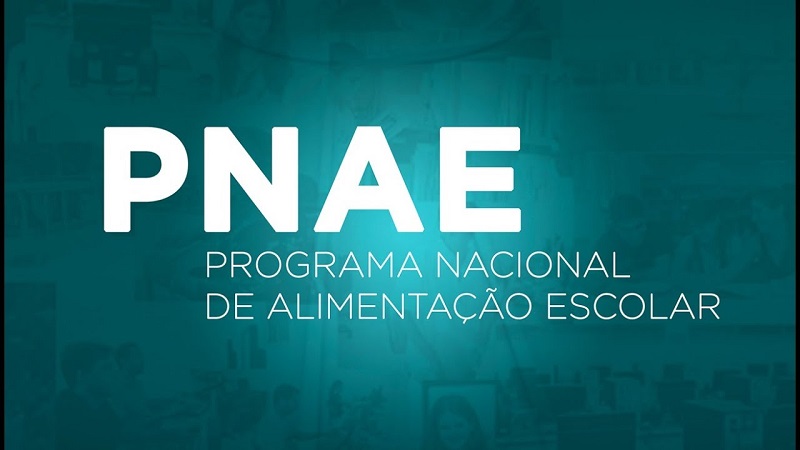 Scila Médici lança chamada publica para adquirir alimentos da Agricultura familiar