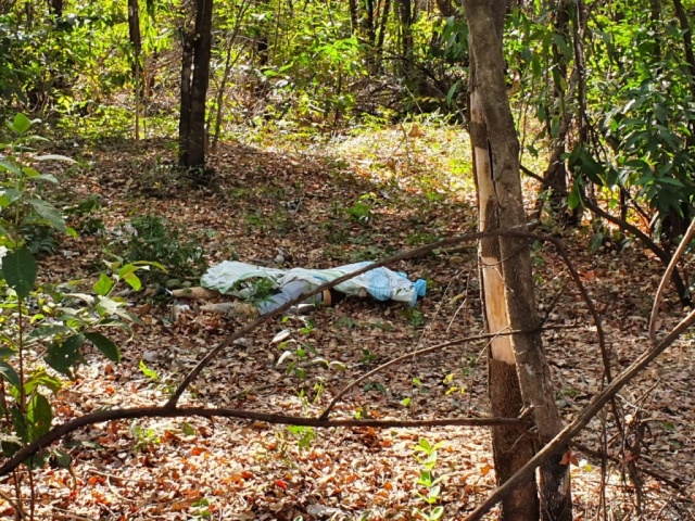 Homem é encontrado morto em área de mata