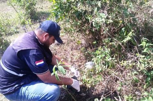 Ossada humana é encontrada na região de fronteira