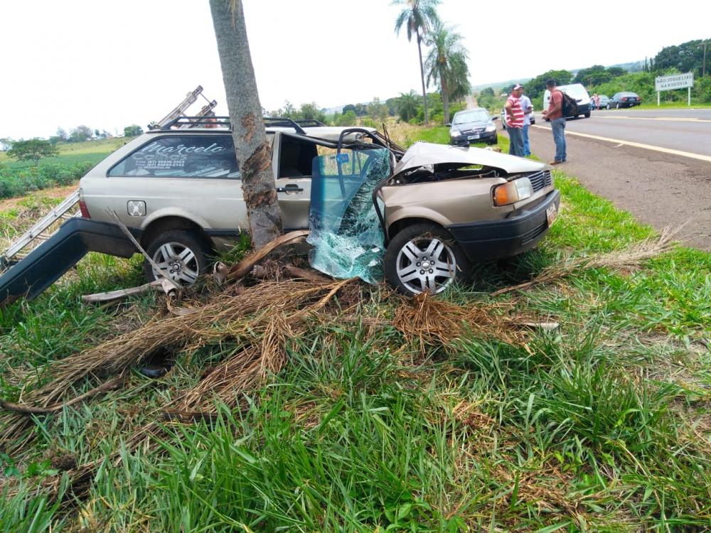 Condutor perdeu o controle de veículo e colidiu com coqueiro entre Deodápolis e Glória 