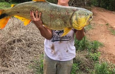 Homem exibe Dourado em foto e é multado em quase R$ 3 mil