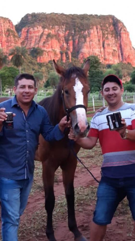 Irmãos são assassinados após discussão em corrida de cavalos