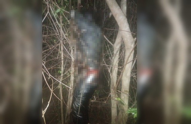 Corpo em decomposição é encontrado com os pés amarrados
