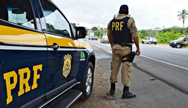 Vaca é abatida a tiros de submetralhadora após ‘surtar’ e danificar veículos em rodovia