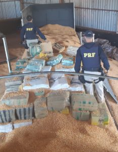 Motorista é preso com 2,6 toneladas de maconha em carreta na BR-163