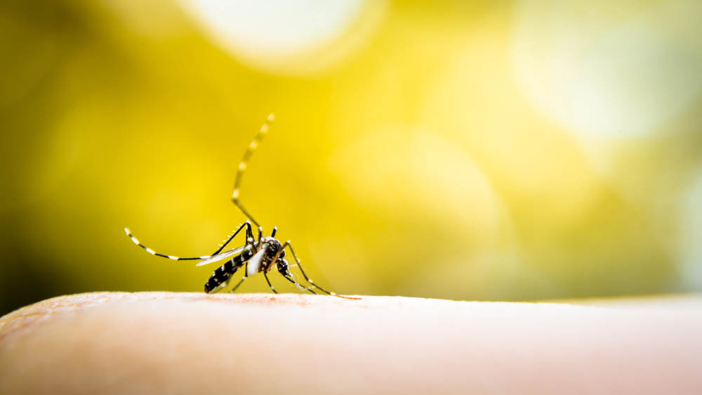 Município de Deodápolis fará 1ª Caminhada Participativa de Controle da Dengue no dia 28/02
