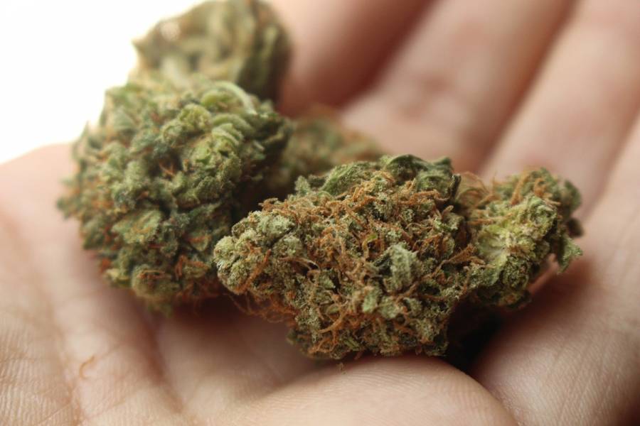 Após denuncia e monitoramento, homem foi preso em Deodápolis com 13 quilos de maconha 