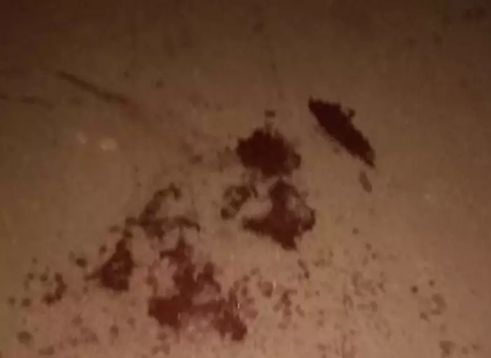 Manchas de sangue no local onde houve troca de tiros, segundo a polícia (Foto: Sidrolândia News) 