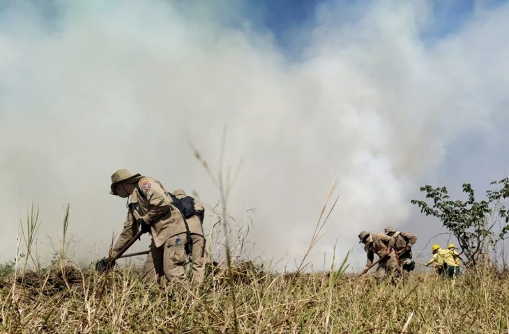Bombeiros estão na linha de frente, combatendo os focos de calor que queimam a vegetação do Pantanal desde abril - Crédito: Divulgação 