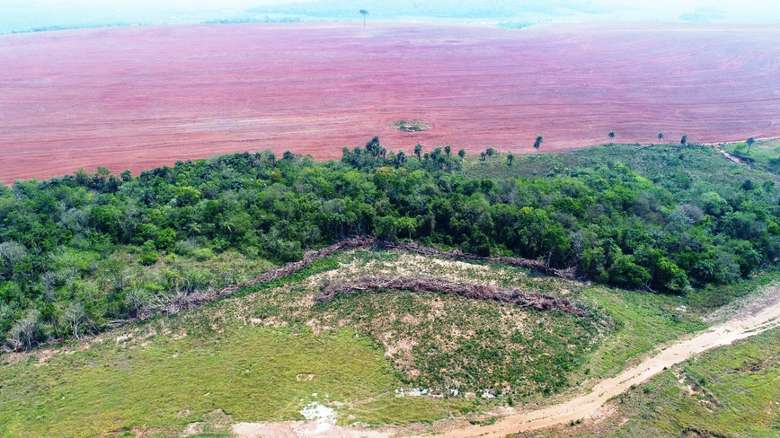 Proprietário rural é autuado em R$ 7 mil por desmatamento ilegal