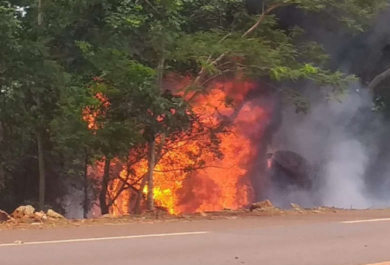 Caminhão pega fogo ao sair da pista e bater em árvore na BR-376