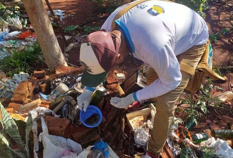 Dengue fez primeira vítima fatal do ano em Dourados - Crédito: Arquivo/Divulgação/CCZ 