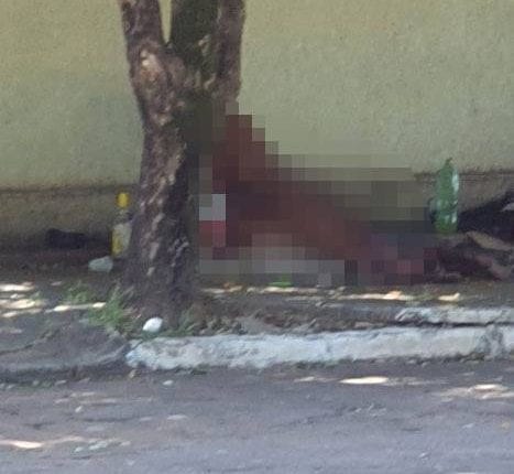 Casal foi flagrado por testemunhas (Foto: O Pantaneiro)