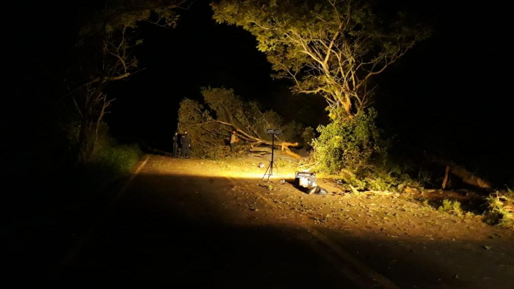 Deodápolis: Corpo de Bombeiros retirou arvore que caiu sob a pista após ser atingida por carreta na MS 276