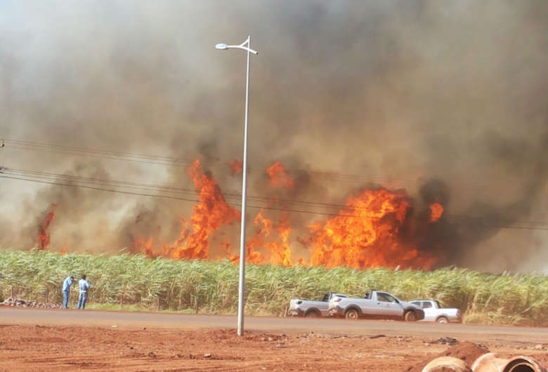 Risco de incêndios florestais por causa da seca motivou decreto estadual de emergência ambiental - Crédito: Arquivo / Dourados News 