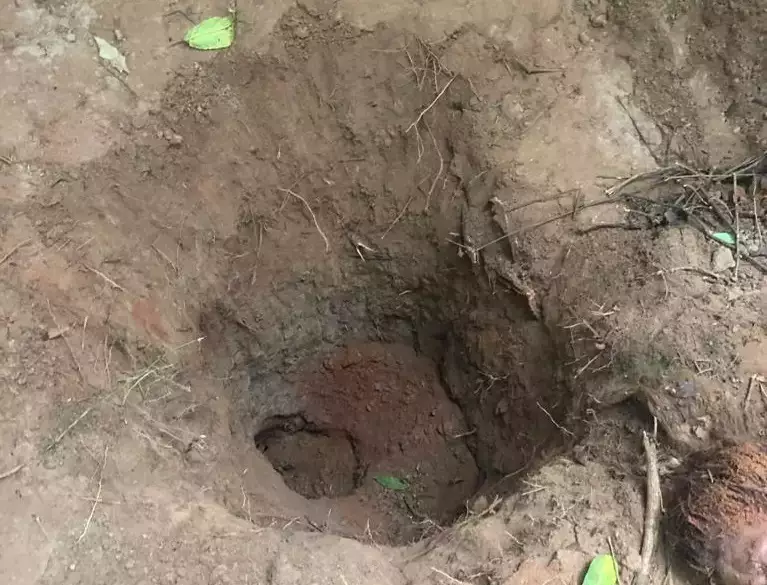 A mãe, segundo a polícia, enterrou a filha de cabeça para baixo em um buraco, próximo ao lixão da cidade(Foto: Perfil News) 