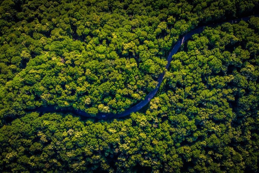 Mundo cumpriu meta de áreas protegidas em terra, mas a qualidade das áreas precisa melhorar