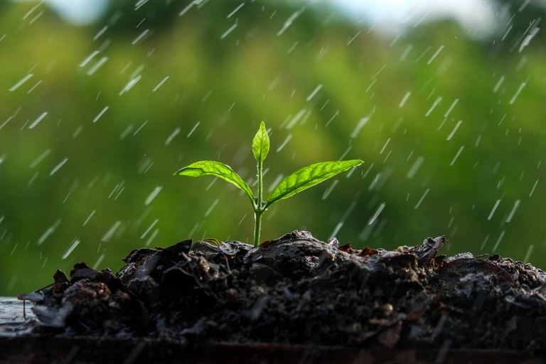 Zarc vai ampliar estudos e aprimorar análises sobre riscos climáticos no agro