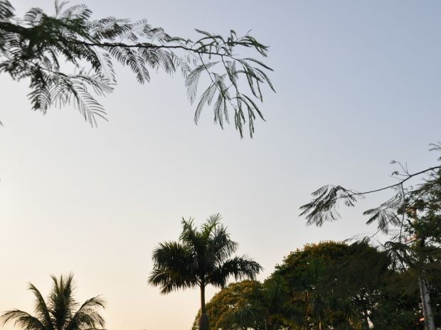 Semana de sol, calor e tempo seco em MS (Foto: Isabela Cavalcante/ G1 MS)