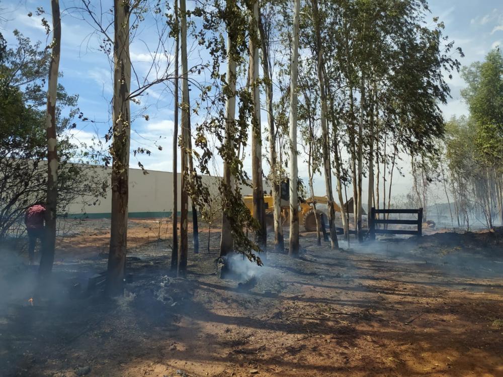 Incêndio em vegetação próximo ao Supermercado Macaúba assustou moradores em Deodápolis 